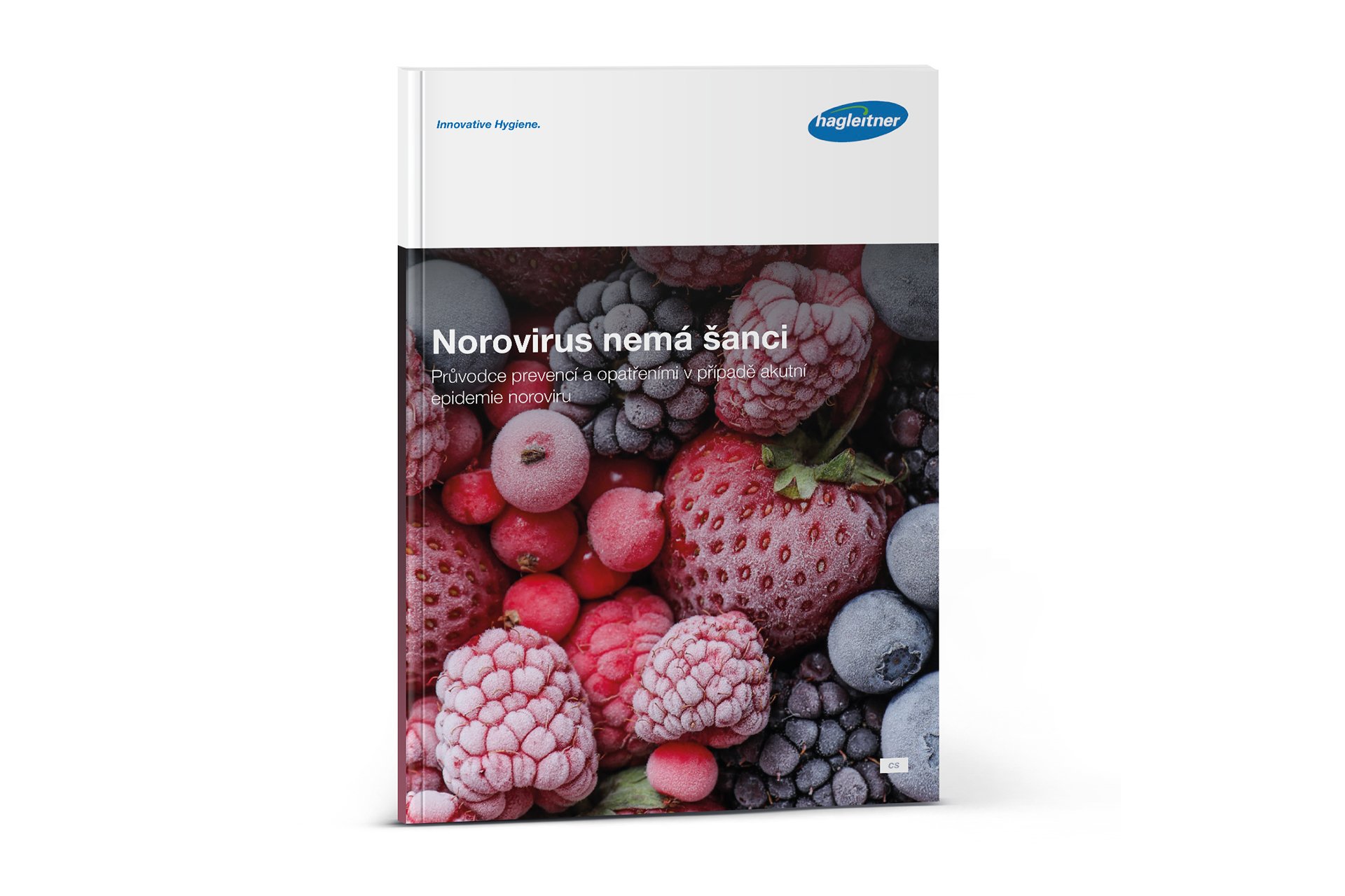 Folder Norovirus Fibel-CS