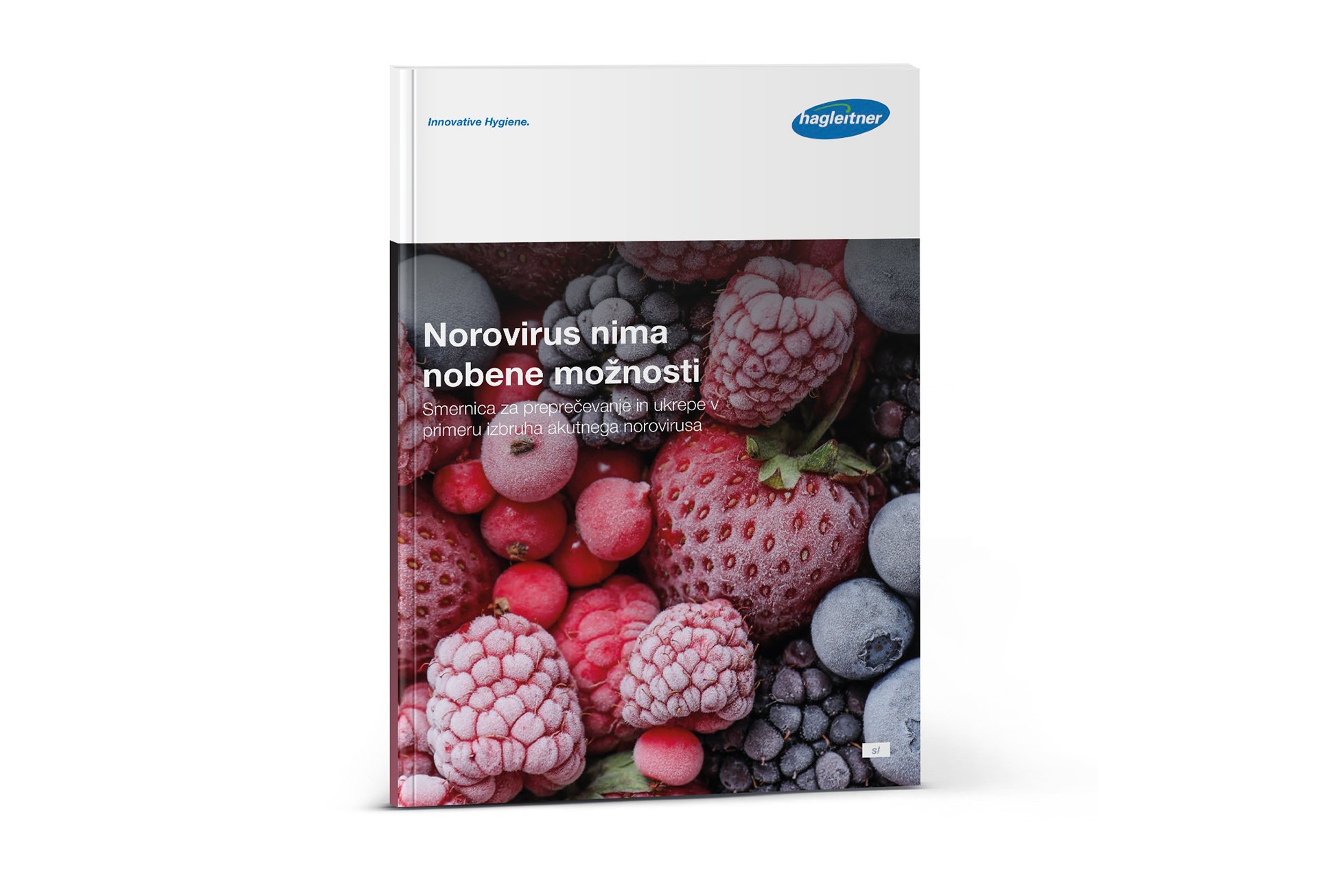 Folder Norovirus Fibel-SL